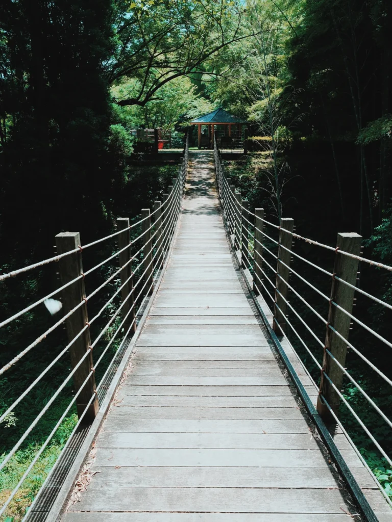FUJIFILM X-T5 XF16-55mm F2.8 R LM WR II