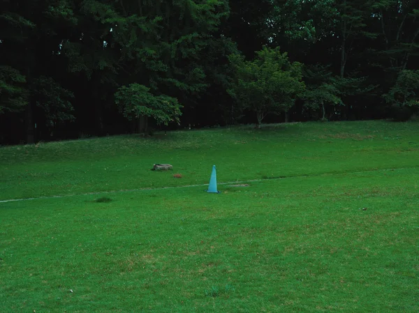 福知山ろく花公園7