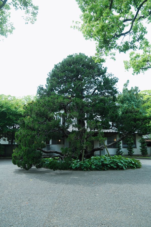 9.6.旧安川邸